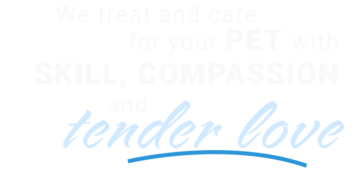 we-treat-your-pet-with-love3